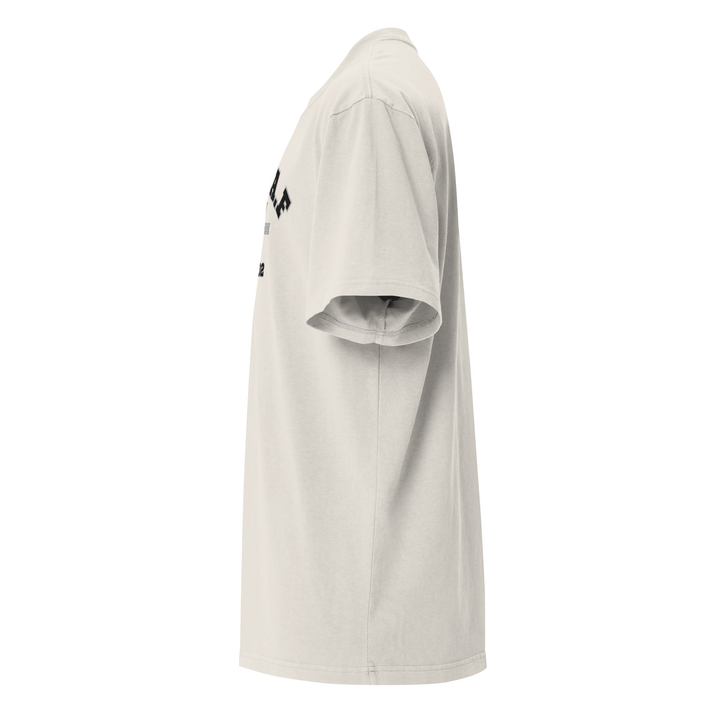 IDGAF University Embroidered Faded Oversized Tee